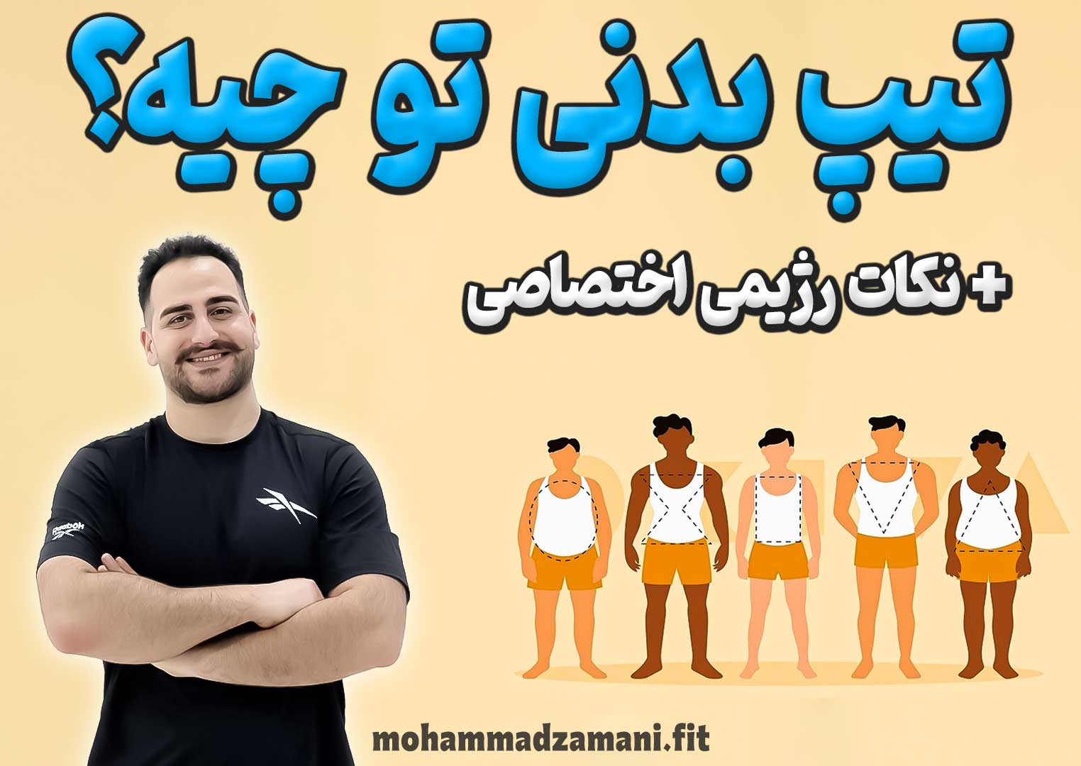 تیپ‌های بدنی سه گانه، اندومورف، اکتومورف و مزومورف و نکات رژیمی مربوطه