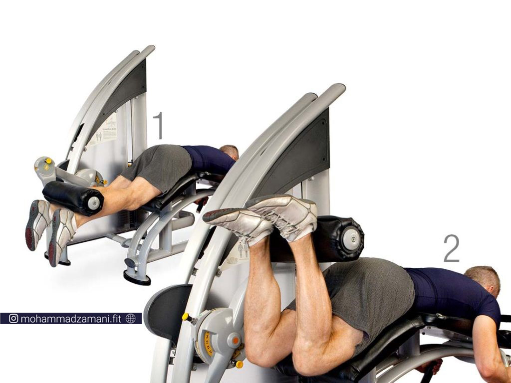 حرکت پشت ران دستگاه یکی از حرکات موثر بر تقویت عضلات همسترینگ است.