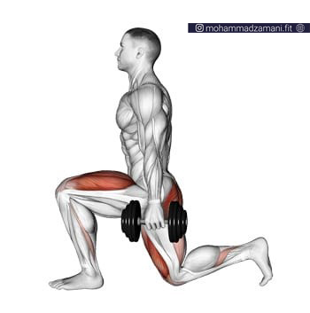 عضله هدف حرکت لانجز چهرسرران، سرینی (عضله جلوی پا و باسن) است.