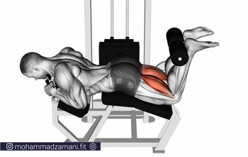عضله هدف حرکت پشت ران دستگاه عضله همسترینگ یا پشت پا است.