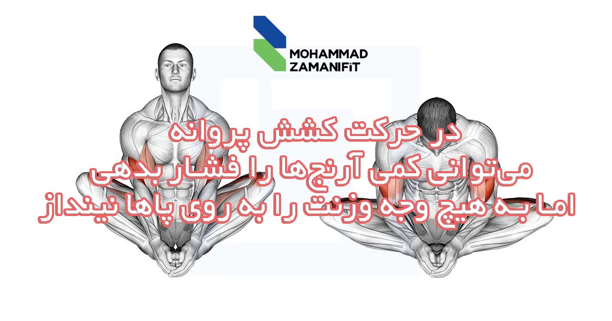 حرکت کشش پروانه