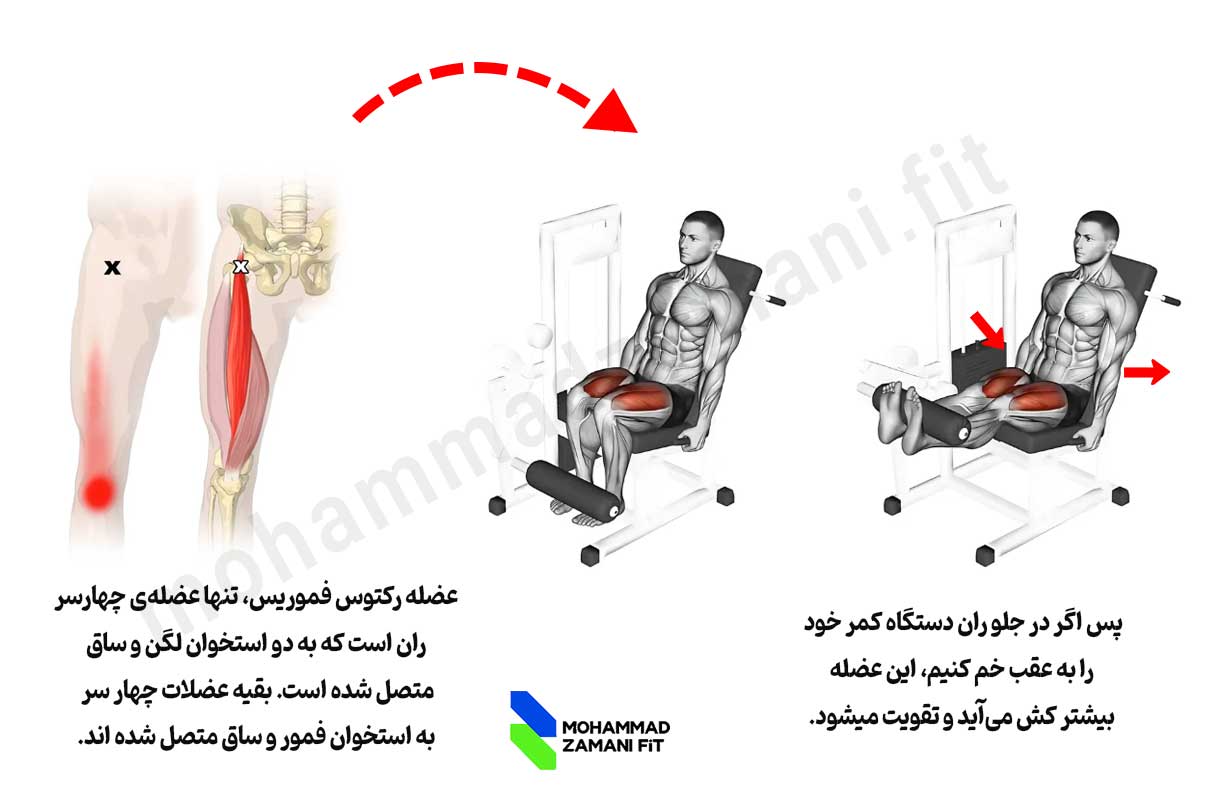 در جلو ران دستگاه اگر به سمت عقب خم شویم، عضله رکتوس فموریس کش می‌آید و بیشتر تقویت می‌شود.