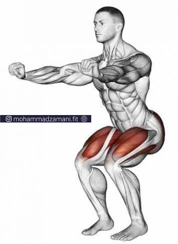 عضله هدف اسکوات  همسرینگ، چهارسرران، سرینی (کل عضلات پا و باسن) است. 