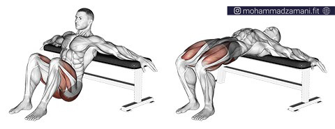 عضلات هدف هیپ تراست  سرینی، همسترینگ ( باسن و پشت پا) هستند.